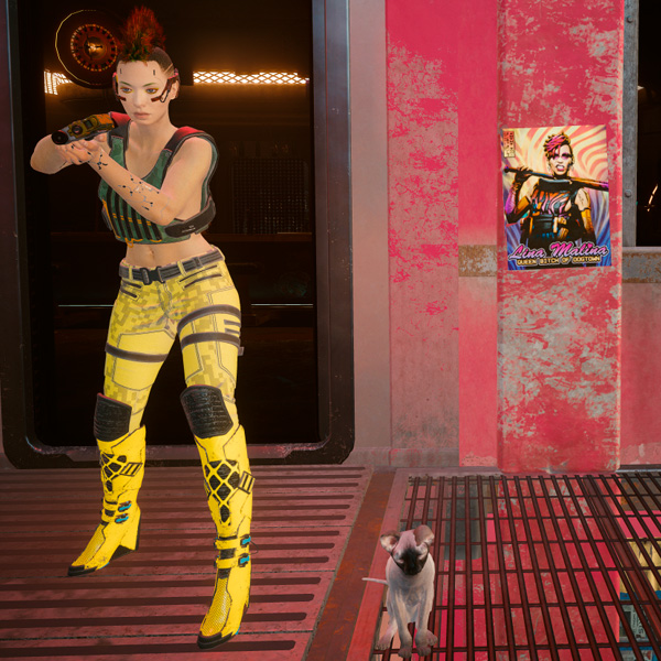 Cyberpunk 2077 и кошка.